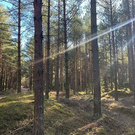 Вилла Dom Nad Morzem Z Jacuzzi 10 Osob Morze Przygod Mieroszyno