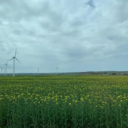 Dom Nad Morzem Z Jacuzzi 10 Osob Morze Przygod ヴィラ