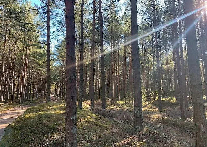 فيلة Dom Nad Morzem Z Jacuzzi 10 Osob Morze Przygod Mieroszyno