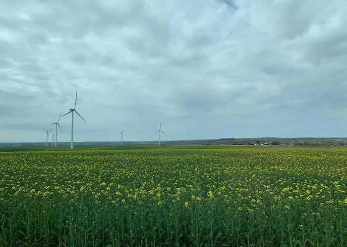 Dom Nad Morzem Z Jacuzzi 10 Osob Morze Przygod فيلة